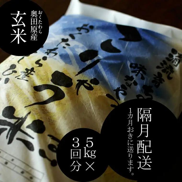 安来のお米【定期便】こりゃう米（まい）玄米 5kg×3回（隔月） 令和7年産 コシヒカリ