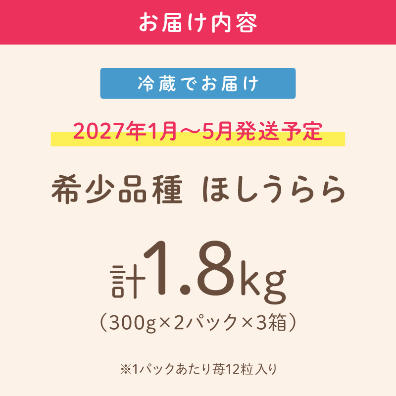 【2027年1月～5月発送予定】【糖度12〜15度の希少品種】いちご  ほしうらら 約1.8kg （約300g×2パック×3箱）※お届け不可地域あり【121C-005-2027】