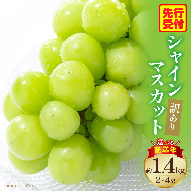 【ふるさと納税】【選べる配送年】先行予約 訳ありシャインマスカット 約1.4kg入り 2～4房 シャイン マスカット ぶどう 果物 果実 果汁 人気 おすすめ 贈答 ご褒美 贈り物 フルーツ デザート スイーツ 種無し 種無しシャインマスカット 不揃い 訳あり 傷 美味しい 三木町