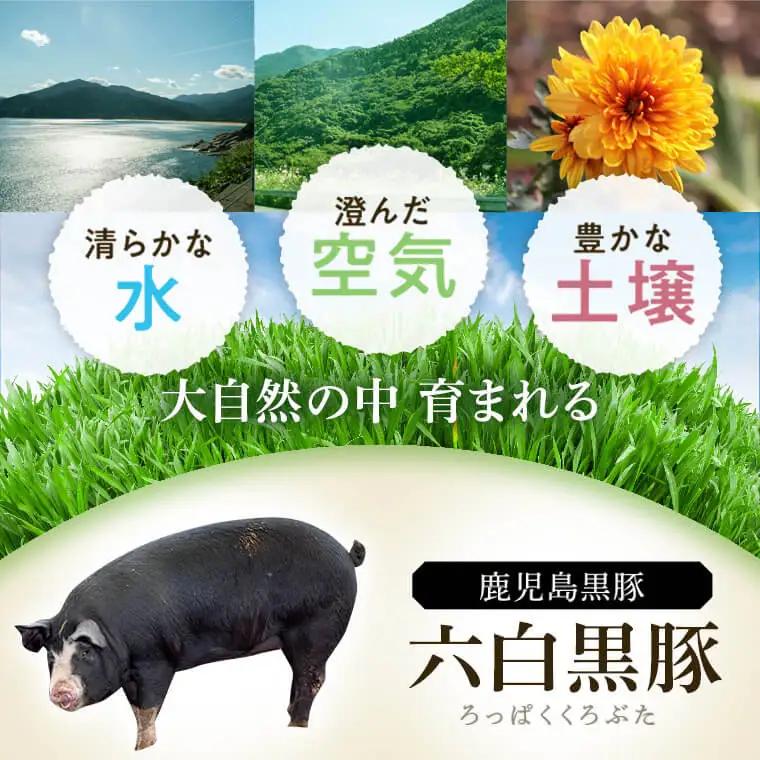 ＜定期便・全5回＞かごしま黒豚 ファミリーセットC 国産 豚肉 焼豚 餃子 しゃぶしゃぶ とんかつ【和田養豚】D02005