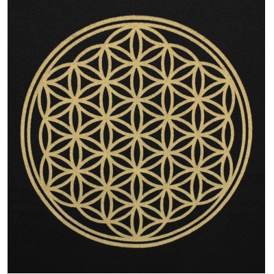 Tシャツ フラワー・オブ・ライフ 姫川薬石 ネイビー (半袖 150サイズ)【1618263】