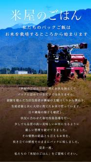 【12ヶ月定期便】 パックご飯 150g×36食×12回 みずほの輝き 米杜氏 壱成 新潟良食味品種 大粒 艶やか つや 冷めてももっちり 1H17217