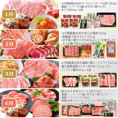定期便(12回配送)お楽しみ便(A5等級黒毛和牛・黒豚・かつお・まぐろ・さつまあげ等)JJ−6002【配送不可地域：離島】【1166755】