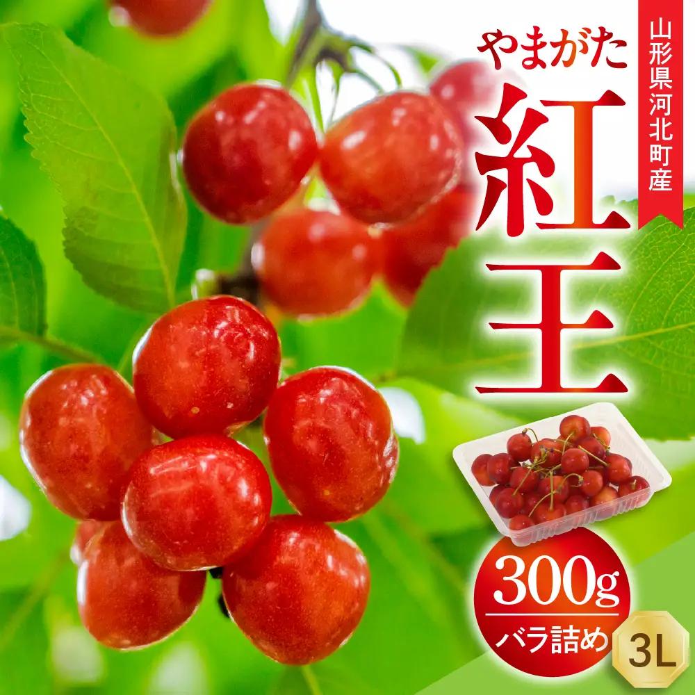 令和9年産さくらんぼ やまがた紅王 300g 3L玉 さくらんぼ