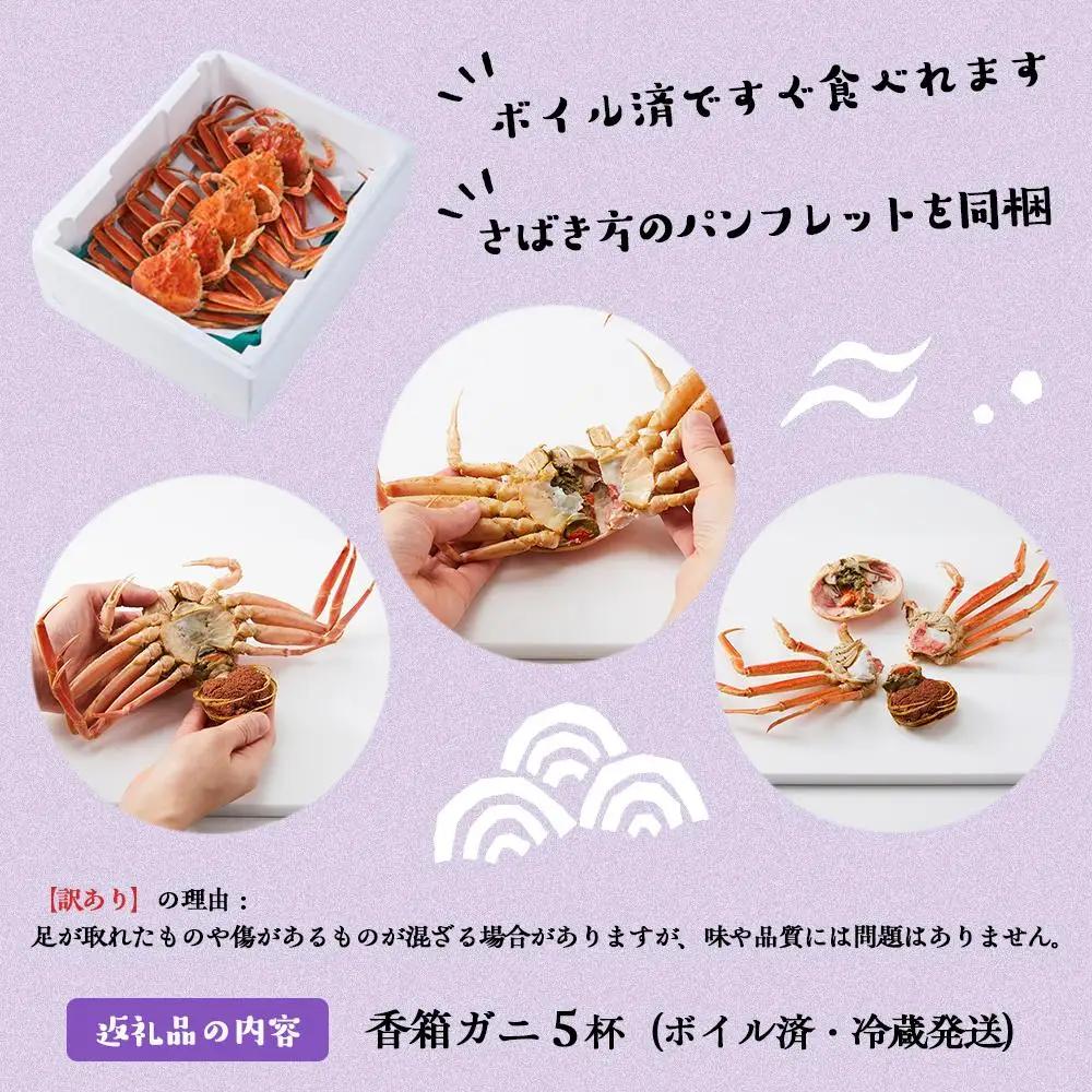 【2026年 予約受付】【訳あり】金沢港より直送！ボイル 香箱ガニ 5杯セット  2026年発送 香箱かに 蟹