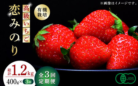 【先行予約】 高級いちご先行予約3回定期 恋みのり約400g(200g×2)苺いちごイチゴ有機栽培ZBB008