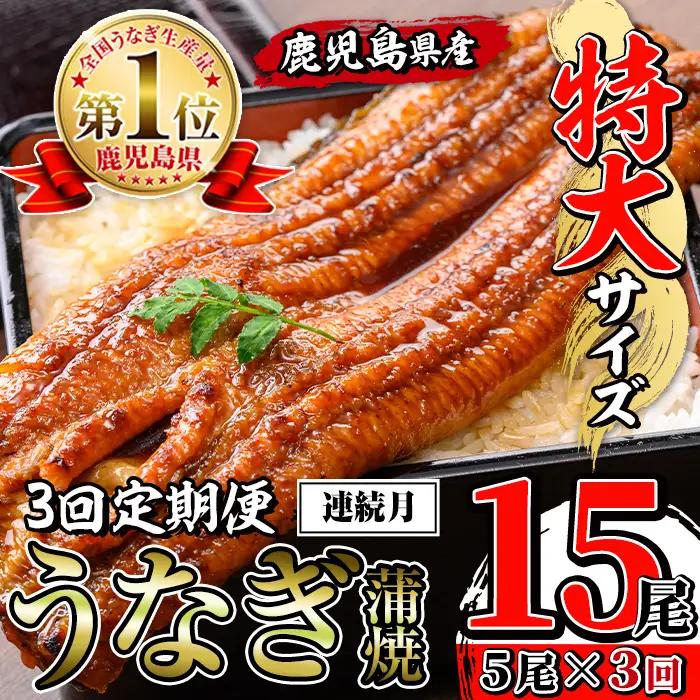 【3回定期便(連続月)】鹿児島県産 うなぎ蒲焼 特大 サイズ 5尾セット ＜（約220g×5・計約1100g）×全3回＞  【薩摩川内鰻】 i1176-A
