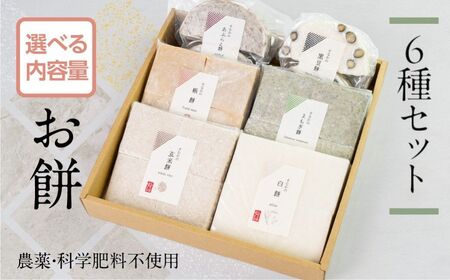＼先行予約／お餅 6種(24枚) お楽しみセット 餅 [B0188_pix]