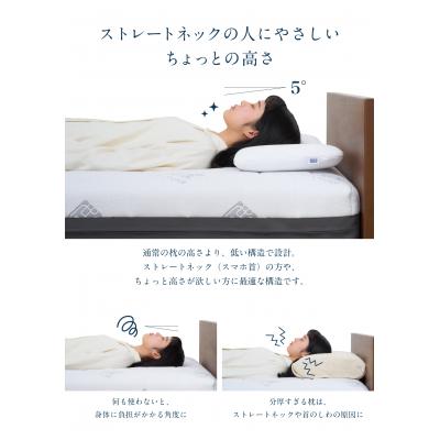 ふるさと納税 幸田町 エアウィーヴ  ピロースリム エクストラロング × ピローケース スリム XL セット |  | 03