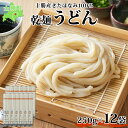 【ふるさと納税】北海道 十勝産 うどん 250g×12袋 2-3人前 乾麺 干しうどん 麺 めん きたほなみ 小麦使用 小分け 個包装 保存 詰め合わせ 備蓄 贈り物 ギフト お取り寄せ 送料無料 北海道 十勝 士幌町 12000円