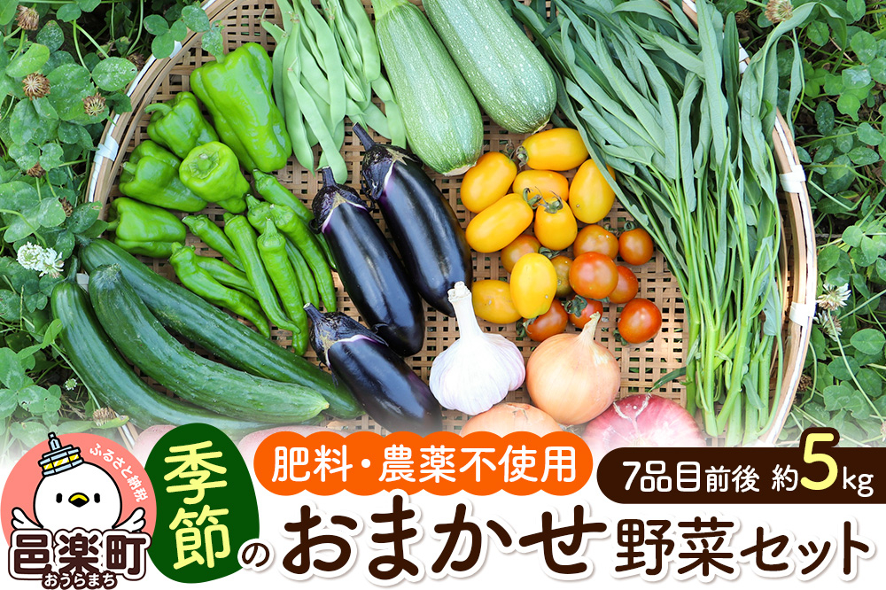 
            自然栽培 春夏 季節のお任せ野菜セット Lサイズ
          