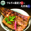 【ふるさと納税】 田野町産うなぎの蒲焼き2匹と天然鮎4匹セット うなぎ 鰻 ウナギ 国産 高知県産 蒲焼 かばやき たれ 山椒 鮎 あゆ アユ 塩焼き 焼き魚 魚 さかな 川魚 冷凍 配送 セット 詰め合わせ 真空パック グルメ 食べ物 食品 高知 ふるさとのうぜい 故郷納税