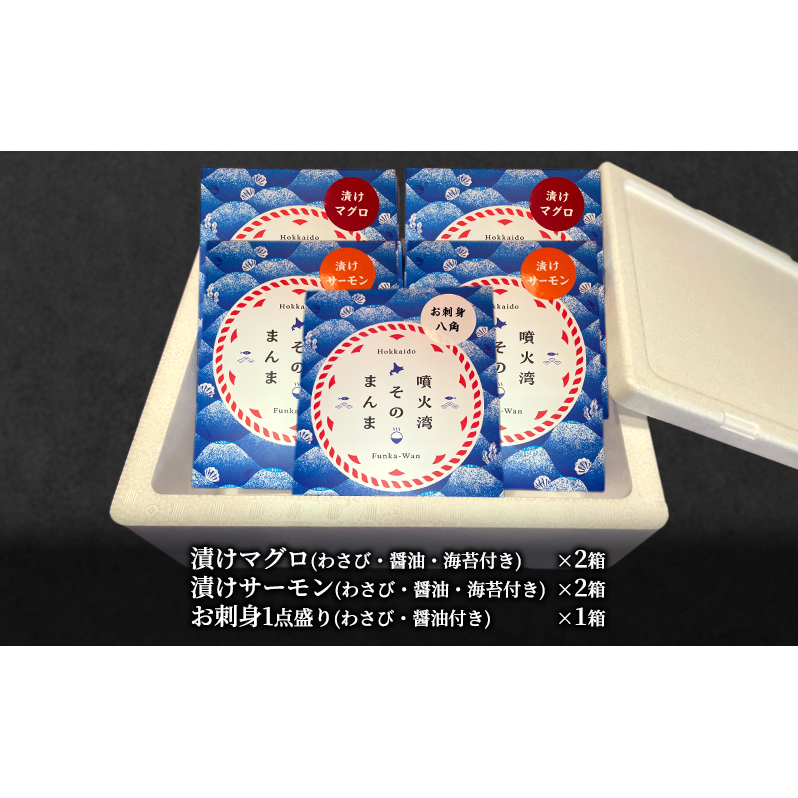 噴火湾そのまんま 漬けマグロ2箱、漬けサーモン2箱、お刺身1点盛り1箱の計5箱 旬菜一鮮 だて大和屋 厳選 魚介 海鮮 刺身 刺し身 小分け 新鮮 魚介類 魚貝類 加工食品 贈答 ギフト 贈り物 ご褒