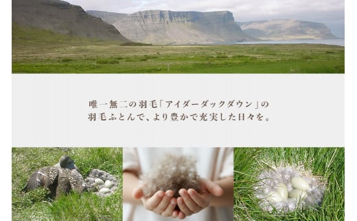 アイダー 羽毛布団 ダブル 掛け ［ウォルター・ブルー］アイスランド アイダーダック ダウン95％ 【富士新幸 花巻工房】 【1597】