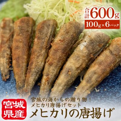 ふるさと納税 石巻市 メヒカリの唐揚げ 冷凍 目光 下処理済 揚げ物 海鮮 魚介 おかず おつまみ 簡単調理 小分け