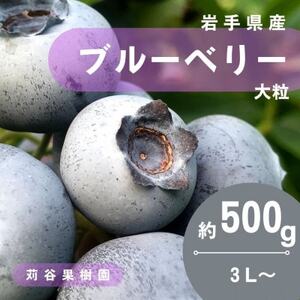 【期間限定】【苅谷果樹園】大粒ブルーベリー(3L～サイズ)約500g　小分けパック　岩手県軽米町【配送不可地域：離島・沖縄県】【1518038】