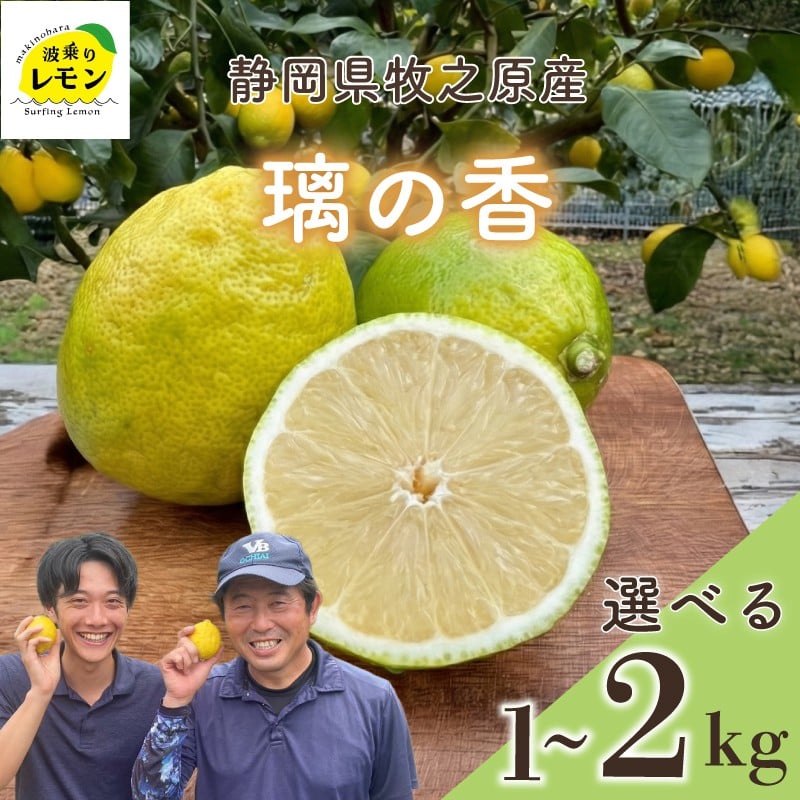 
            牧之原産 波乗りレモン 璃の香 選べる 内容量 1~2kg 国産 Lemon 檸檬 柑橘類 柑橘 フルーツ 果物 酸っぱい 果肉 酸味  防腐剤不使用 自宅用 贈答品 レモンスカッシュ レモンパウンドケーキ レモンサワー くだもの 家庭用 静岡県産 農家直送 産地直送 産直 ビタミン ビタミンC クエン酸 グリーンレモン イエローレモン おすすめ 美味しい りのか  静岡県 牧之原市
          