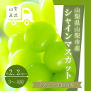 【ふるさと納税】【2025年 先行予約】フルーツ王国 山梨県産　シャインマスカット　3房～4房 2.2kg以上【配送不可地域：離島】【1362278】