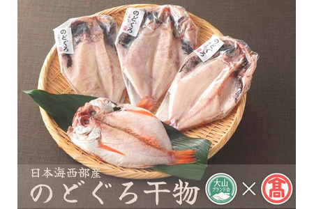 開きのどぐろ干物A 4～5枚 日本海西部産 約600g (大山ブランド会) 米子高島屋 境港 23-AN1 0293