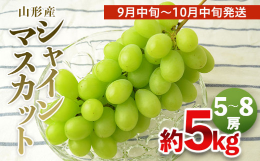 山形の大粒シャインマスカット 秀品 約5kg(5～8房)[9月中旬～10月中旬発送]【令和6年産先行予約】FS21-637