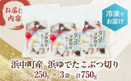 【令和8年1月発送分】【北海道浜中町産】浜ゆでたこぶつ切り（250g×3袋） たこ 小分け 刺身 海鮮 魚介 北海道_H0023-022-R801