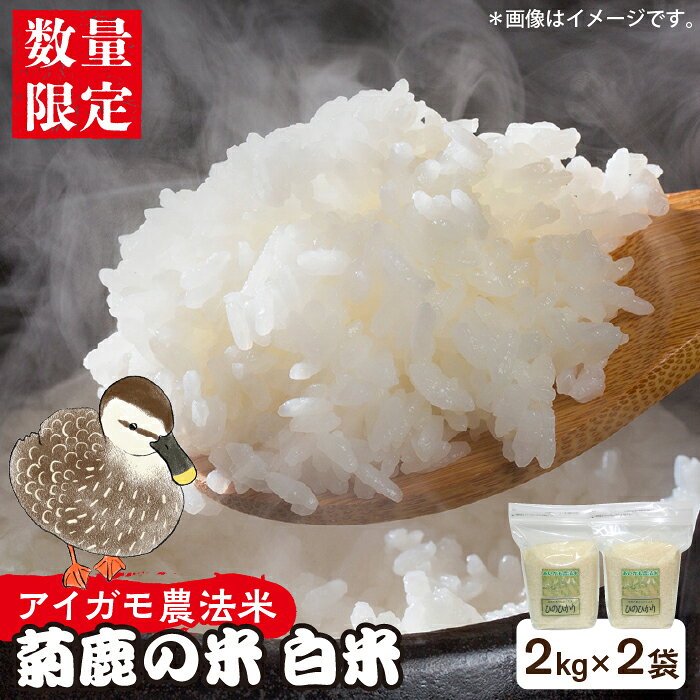 【ふるさと納税】〈令和7年度産米〉菊鹿の米 アイガモ農法米 白米 2kg×2袋【有限会社 あそしな米穀】[ZBI004] 米 こめ コメ お米 無農薬 はくまい 5kg 以下 4kg ヒノヒカリ ひのひかり 令和7年 令和7年