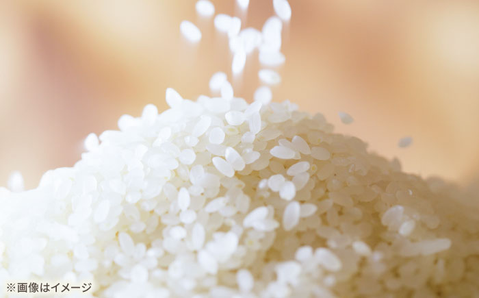 さがびより5kg 【直売所にじ】 [IDO001]