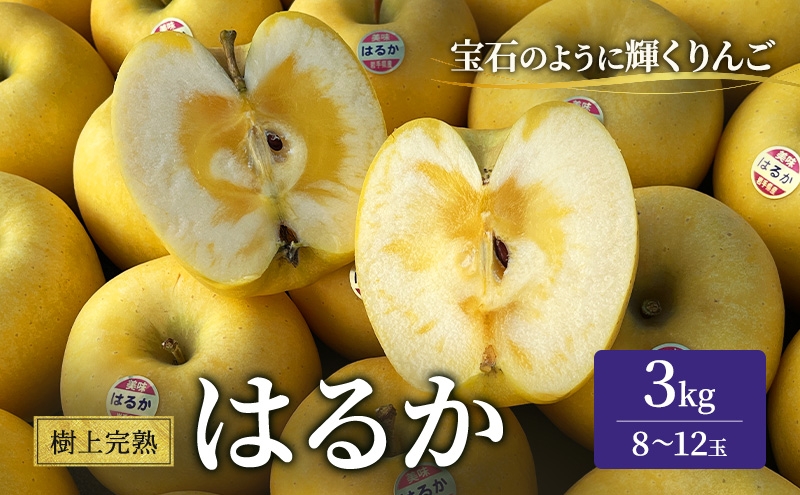 
                  【先行予約】 はるか 樹上完熟 りんご 3kg 林檎 リンゴ 果物 フルーツ おやつ デザート 旬の果物 旬のフルーツ 季節の果物 季節のフルーツ 岩手りんご 国産 産地直送 くだもの お取り寄せ 特産品 名産品 ご当地 自宅用 朝食 甘い 蜜入り 農家直送 岩手県 盛岡市 東北 岩手 盛岡 峰崎果樹園 minezaki004
                