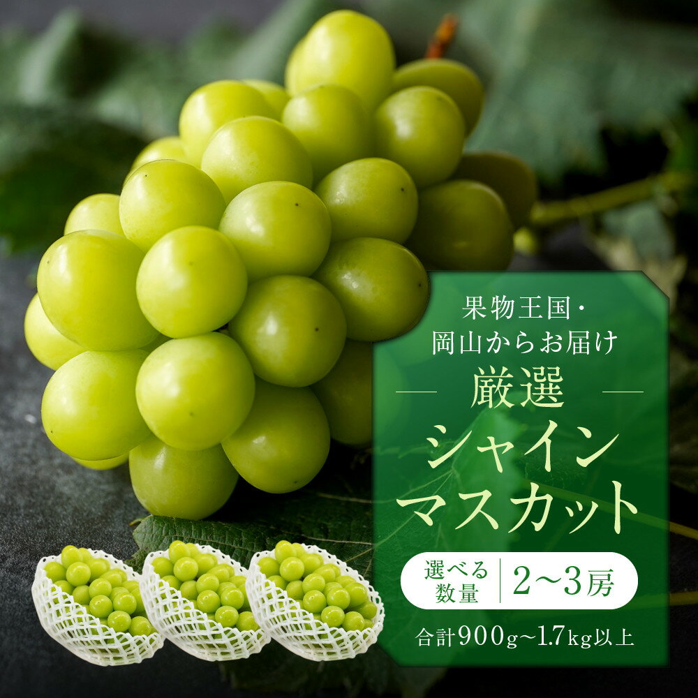 【ふるさと納税】【内容量が選べる】厳選 シャインマスカット 2房 合計1.1kg以上又は2～3房 合計1.7kg以上 | フルーツ 果物 くだもの 食品 人気 おすすめ 送料無料