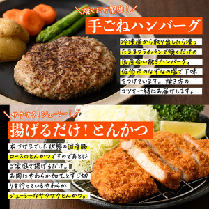 ＜定期便・全6回(2か月毎)＞下ごしらえ済み おかず5種セット (5種・合計2.3kg×6回) からあげ 唐揚げ とり天 チキンカツ とんかつ ハンバーグ 冷凍 惣菜 お弁当 簡単 時短 定期便【DH