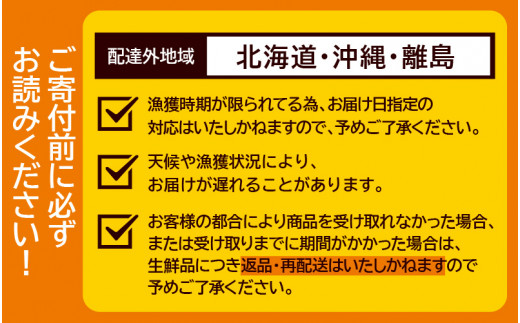 【先行予約】【訳あり】 越前がに 中 (約550g～700g)×2杯【11月～12月配送】