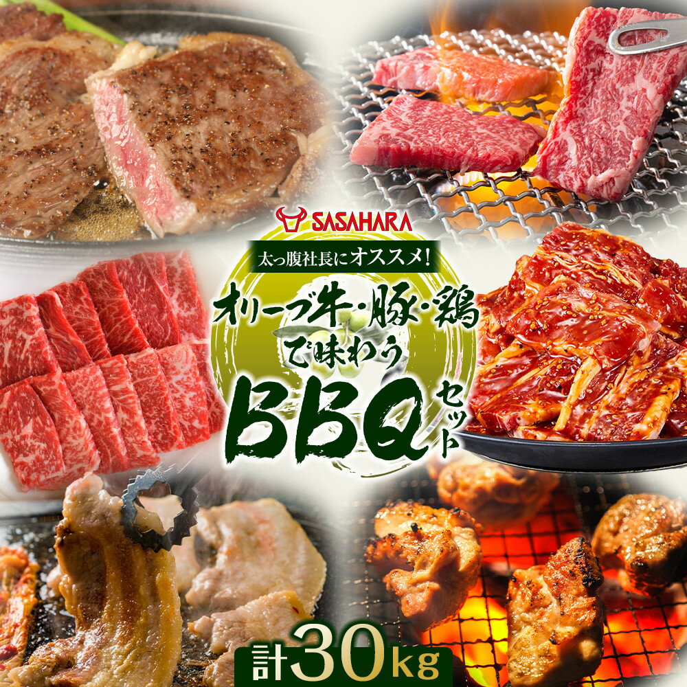 【ふるさと納税】太っ腹社長にオススメ！オリーブ牛・豚・鶏で味わう　BBQセット 計30kg | 牛肉 肉 お肉 にく 牛 オリーブ牛 豚肉 豚 オリーブ豚 オリーブ鶏 鶏肉 鳥肉 とりにく BBQ　 焼肉 焼肉用 バーベキュー オリーブ 大容量 人気 おすすめ 送料無料 香川県 高松市