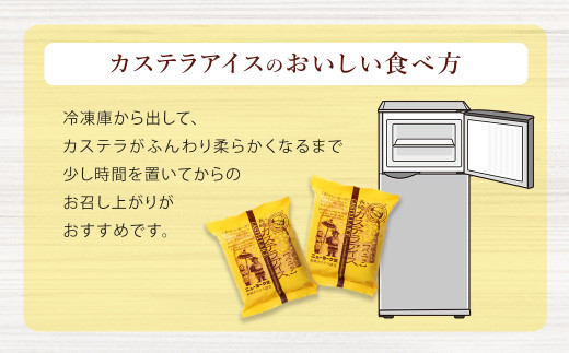 【テレビで紹介されました！】【全3回定期便】長崎カステラアイス (バニラ) 計10個 ／ ニューヨーク堂 カステラアイス カステラ アイス デザート スイーツ お菓子 おやつ 冷凍 ご当地 お取り寄せ