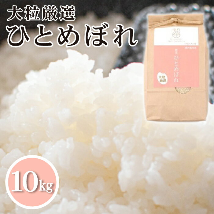 【ふるさと納税】 ひとめぼれ 精米 おすすめ 10kg 大粒厳選 ／ 米 白米 10キロ こめ ごはん ご飯 ライス 単一原料米 健康食 ヘルシー フード グルメ チャーハン 炒飯 焼きめし ピラフ 家庭用 自宅用 お取り寄せ 岩手県 雫石町 国産 農家直送 産地直送 送料無料 雫石八十八屋