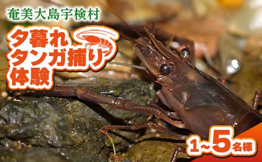 
                  選べる人数 夕暮れタンガ捕り 体験 奄美大島 宇検村 鹿児島県 旅行 自然 冒険 完全プライベート
                