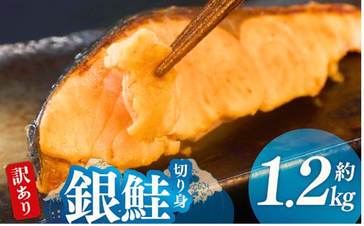 鮭 訳あり 厚切り 銀鮭 切り身 1.2kg （1枚120～160g） 鮭 さけ サケ シャケ 海鮮 塩 有塩 おかず 朝ごはん 朝食 弁当冷凍 便利 簡単 調理 小分け 家庭用 送料無料 ふるさと納税 千葉 旭 千葉県 旭市 株式会社いとう商店 its016