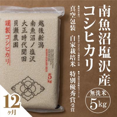 ふるさと納税 南魚沼市 【毎月定期便】南魚沼塩沢産コシヒカリ「貝瀬農園米」無洗米5kg全12回