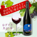 【ふるさと納税】多古ワイン2021・山ぶどう月山1号【赤】【日本ワイン】750ml・1本【配送不可地域：離島・沖縄県】【1403631】