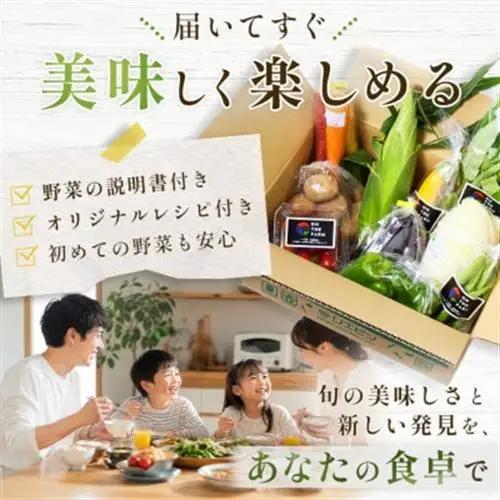 【毎月定期便】【下旬発送】こだわりの旬野菜BOX「リエビン」季節の野菜セット全12回【配送不可地域：離島・沖縄県】【4012347】