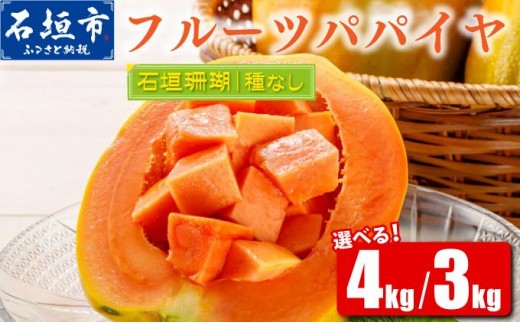 
                  石垣島 フルーツ パパイヤ 石垣珊瑚 赤果肉 種なし 3kg (3～8玉) / 4kg (4~8玉) | パパイヤ フルーツパパイヤ 果物 くだもの フルーツ 果実 国産 沖縄県 沖縄 石垣 石垣島 石垣市 ふるさと 人気 送料無料 ふるさと納税
                
