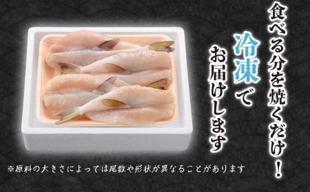 ふぐ 国産 一夜 干し 250g おつまみ ギフト FG006