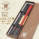 【ふるさと納税】華正工房 うるしけんこう箸 能登ヒバ漆塗 ペア 夫婦箸 お箸 天然木 贈答 贈り物 父の日 母の日 敬老の日 結婚祝い 金婚式 銀婚式 長寿 ギフト 伝統工芸 工芸品 F6P-1271