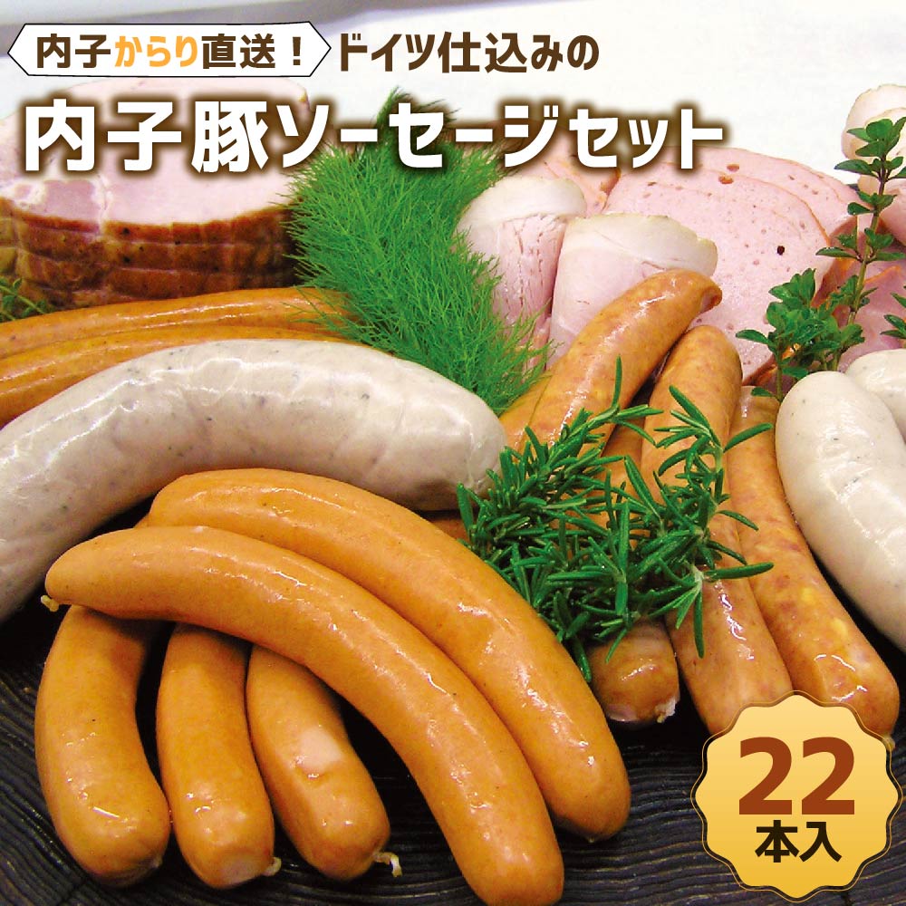【ふるさと納税】内子からり直送!ドイツ仕込みの「内子豚ソーセージ 5種セット」 計22本 内子豚 ビーナー チーズ スパイシー グリルブルスト ミュンヘナーバイスブルスト 詰め合わせ 国産 (281) 【えひめの町（超）推し！（内子町）】
