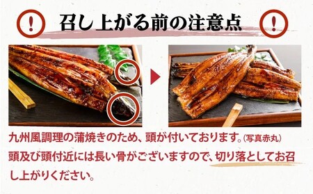 ≪順次発送≫【数量限定】国産うなぎ蒲焼 2尾 計400g B-1069