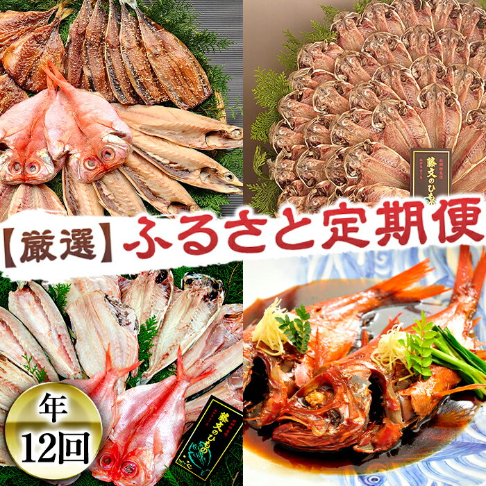 【ふるさと納税】 金目鯛 あじ いか 鯵 鯖 定期便 干物 ひもの 煮付 みりん 訳あり 期間限定 伊豆 静岡 藤文の厳選干物セット「ふるさと定期便」（年12回）
