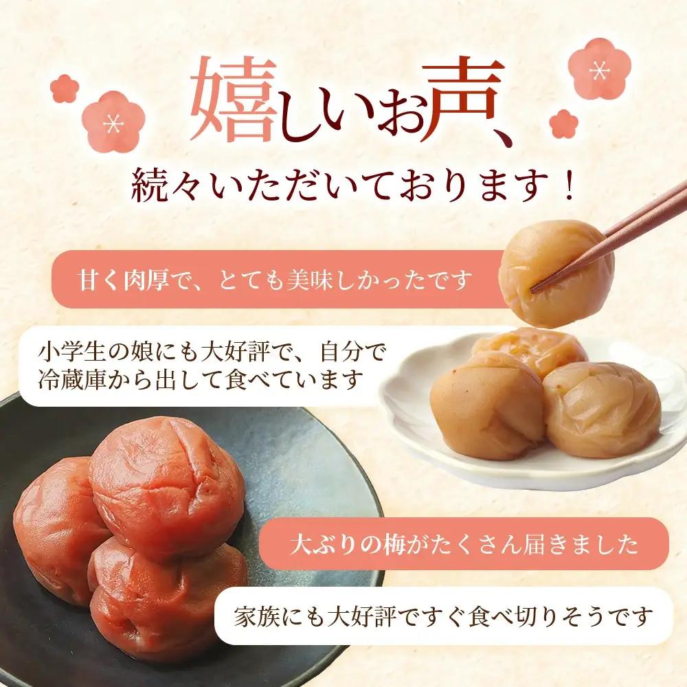 梅干し 大粒 お試し200g 紀州南高梅はちみつ漬け 200g 塩分10％  【mae006】