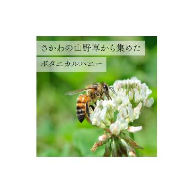 ふるさと納税 佐川町 【160g×2瓶】国産 純粋 はちみつ 無添加 百花蜜 |  | 02