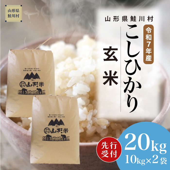 ＜令和7年産米先行受付＞ 鮭川村産 こしひかり 【玄米】 20kg （10kg×2袋） 配送時期指定できます！