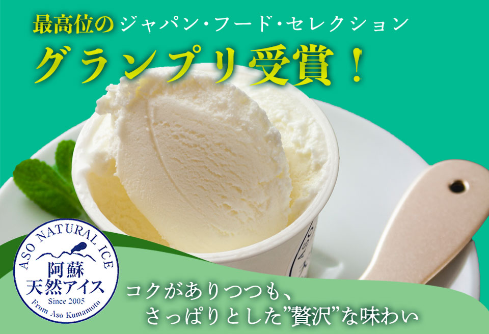  【阿蘇天然アイス】 くまモンホームパーティーアイスケーキ 【詰め合わせ 最中 スイーツ デザート 和菓子 高級 ギフト 贅沢 人気 ご褒美 お取り寄せ グルメ 飛行機 熊本 阿蘇 熊本県 阿蘇市】