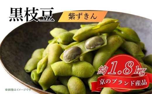 【先行予約】京のブランド産品 黒枝豆「紫ずきん」 秀品 約1.8kg (1袋180g×10袋) （丹波黒大豆 夏野菜 夏 枝豆 えだまめ 黒大豆 まめごはん 豆ごはん サラダ 天ぷら 京野菜 野菜 旬野菜 枝豆 大豆 ビール おつまみ 肴 あて 京都 丹波 JA JA京都 京都府